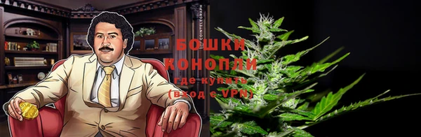 таблы Гусев