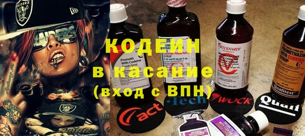 индика Гусиноозёрск