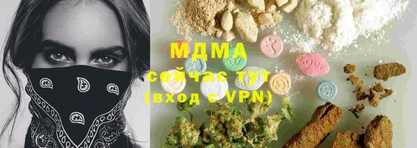 индика Гусиноозёрск