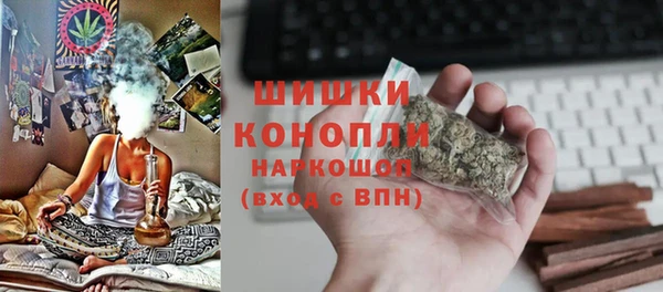 таблы Гусев