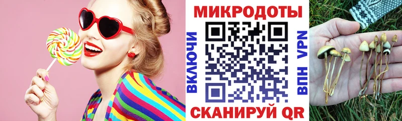 Галлюциногенные грибы Cubensis  Гусь-Хрустальный 